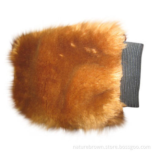 Cleaning mitts for cars